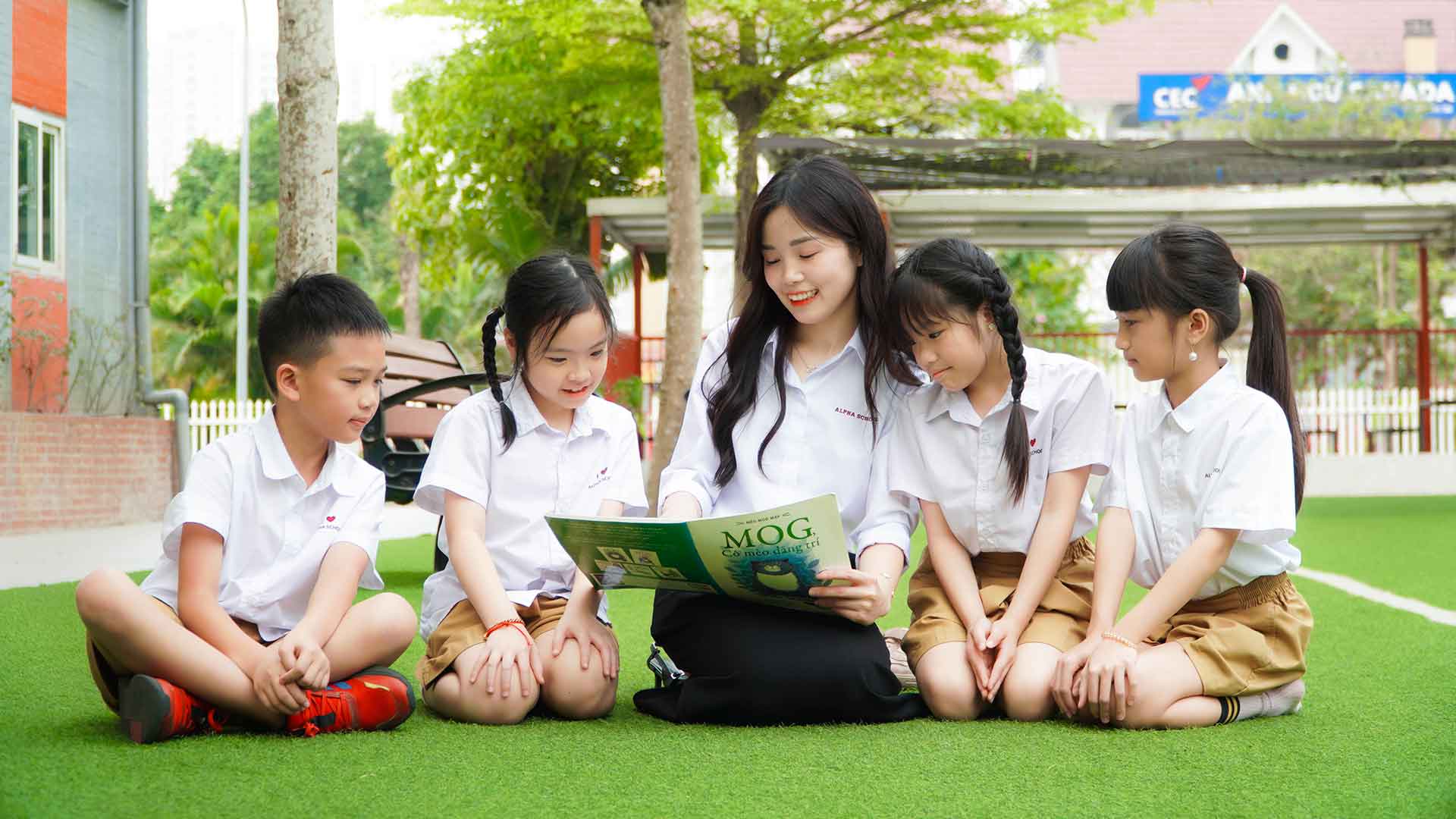 Chương trình Tiểu học 24 TH01