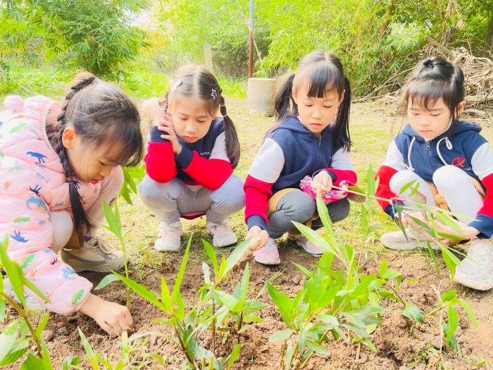 VUI CHƠI, SÁNG TẠO, HỌC HỎI CÙNG HỌC SINH KHỐI 1 TẠI NÔNG TRẠI BÁ TÂN 2 news 0.762083001742460180